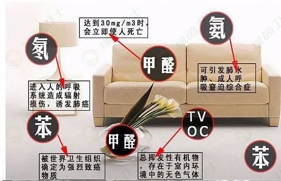「室內(nèi)空氣凈化設(shè)備」裝修后去除甲醛的方法有哪些？去除甲醛后能活多久？